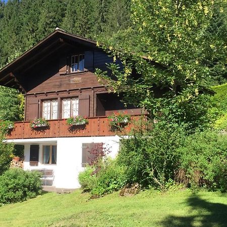Ferienwohnung Betula Bad-Schwarzsee Luaran gambar